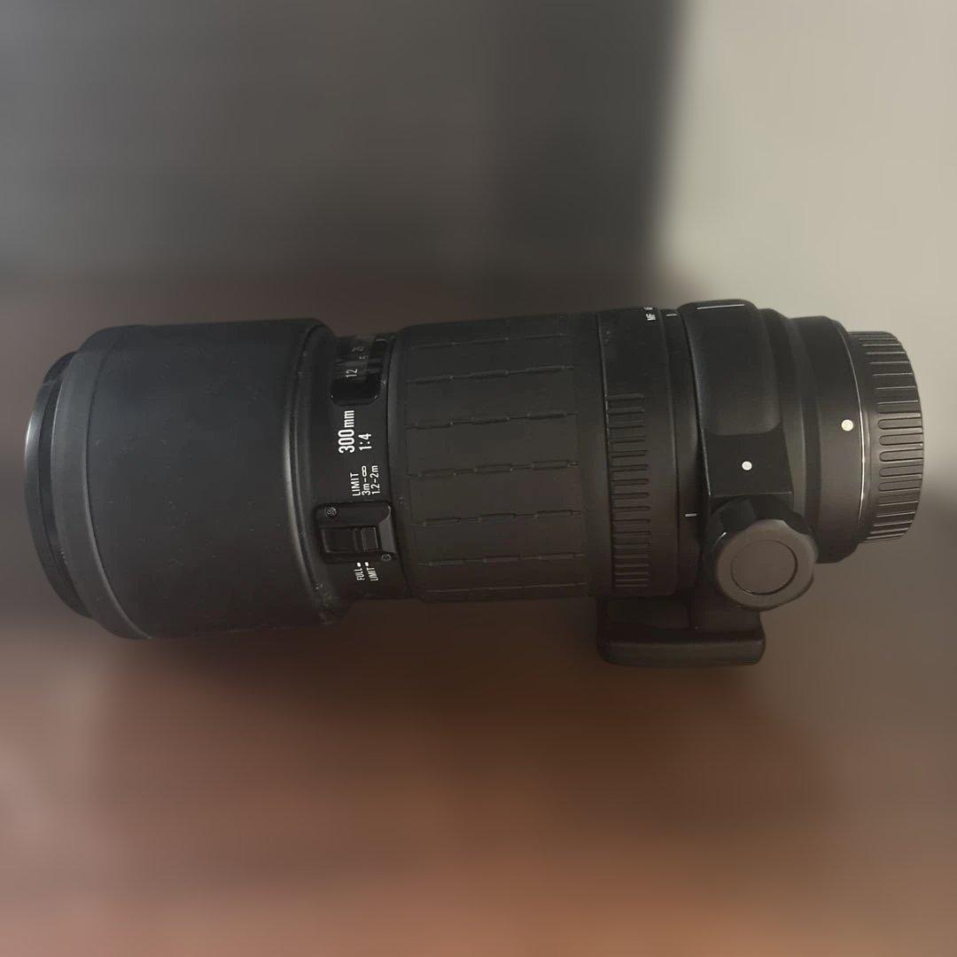 SIGMA 300mm F4 レンズ(単焦点)