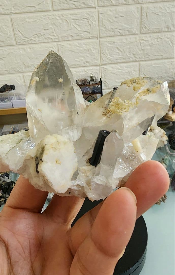 アクアマリン入りクォーツ上のブラックトルマリン