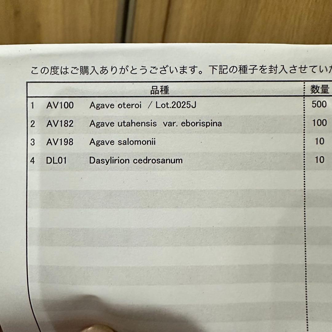 アガベ　オテロイ、エボリスピナ種子セット