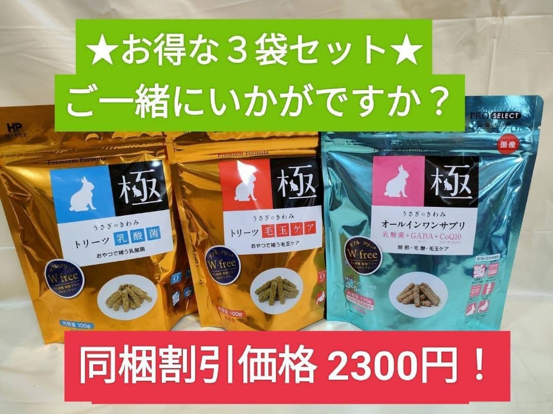 【まとめ買い大特価】モルモットセレクションプロ600g ×10袋セット