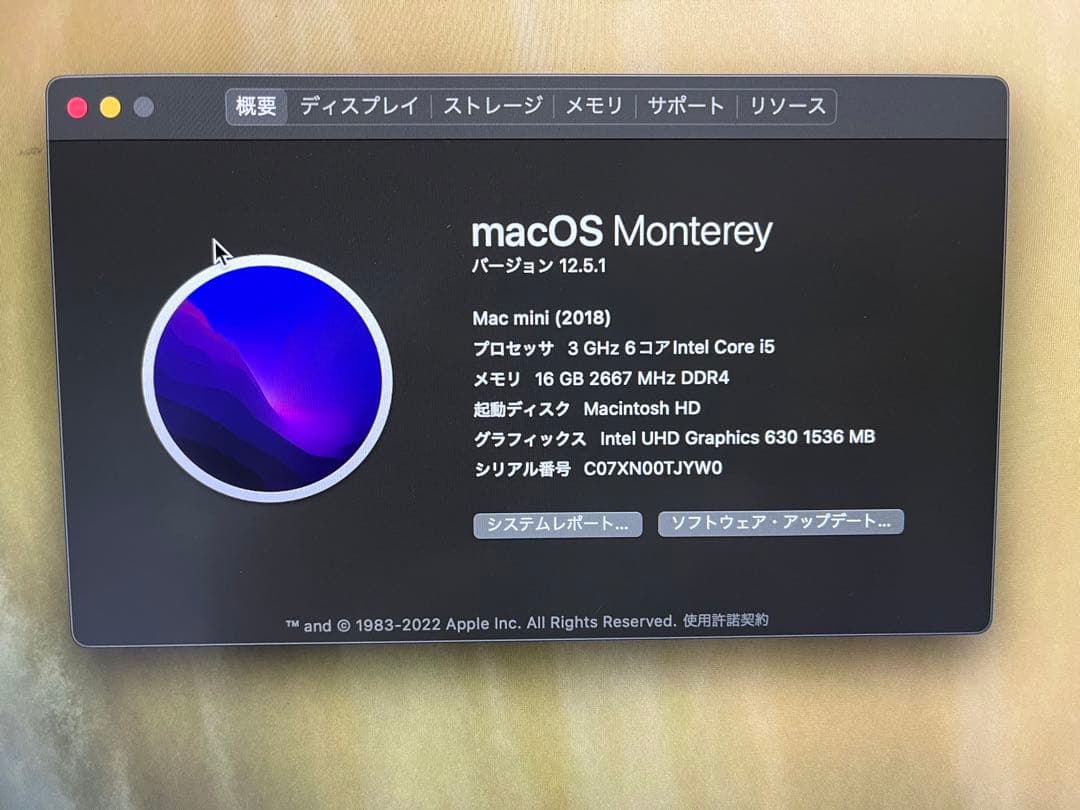 Macデスクトップ Mac mini 2018 i5 1TB 16G