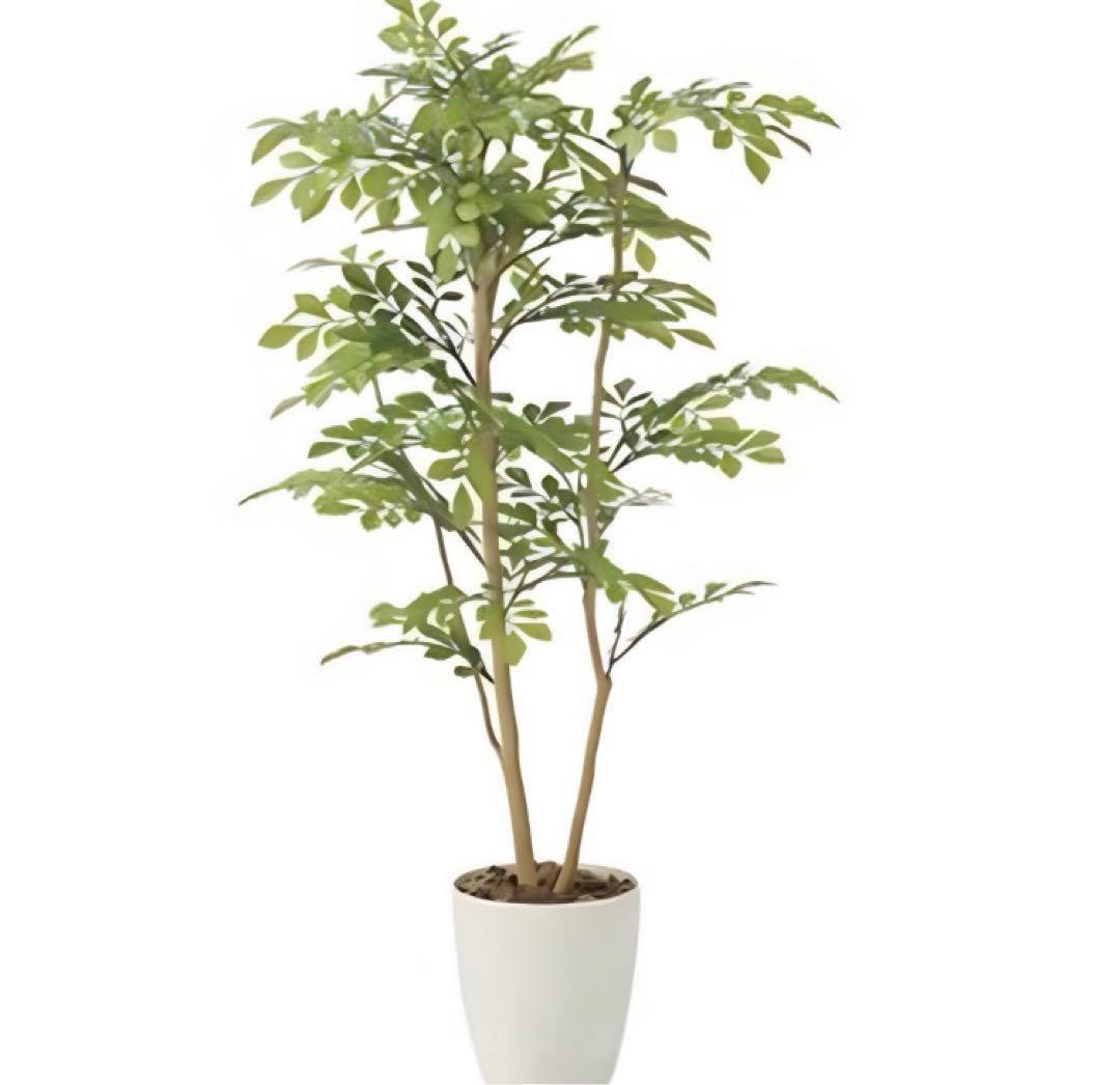 光触媒　人工観葉植物　ウォールグリーン　フェイクグリーン　ライトトネリコ1.0