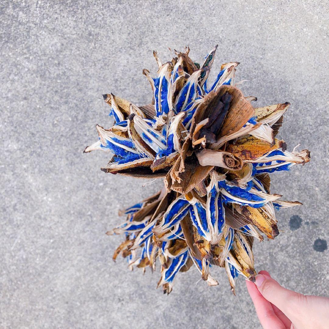 【年内最終発送12/21】タビビトノキ　12181