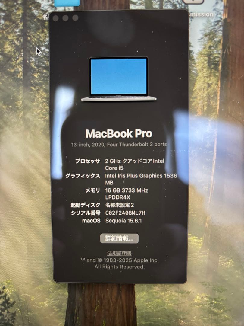 MacBook本体 MacBook Pro A2251 2020 i5 16GB SSD512