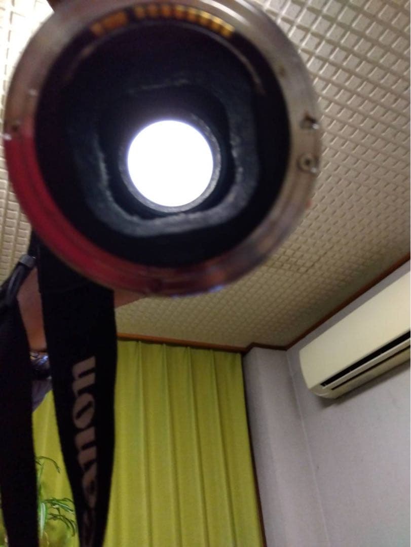 Canon EF 600mm 1：4 ULTRA SONIC 望遠レンズ