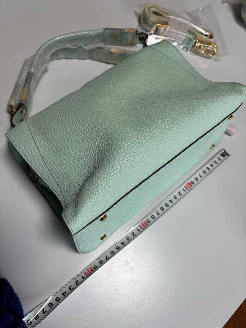 【美品】イアンヌ　オリビア　ハンドバッグ2way保存袋付き