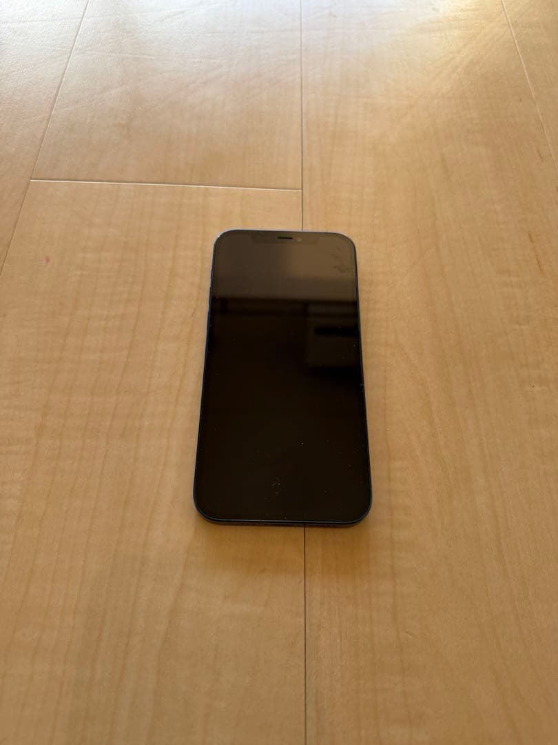 Apple iPhone 12 ブルー 本体　256G