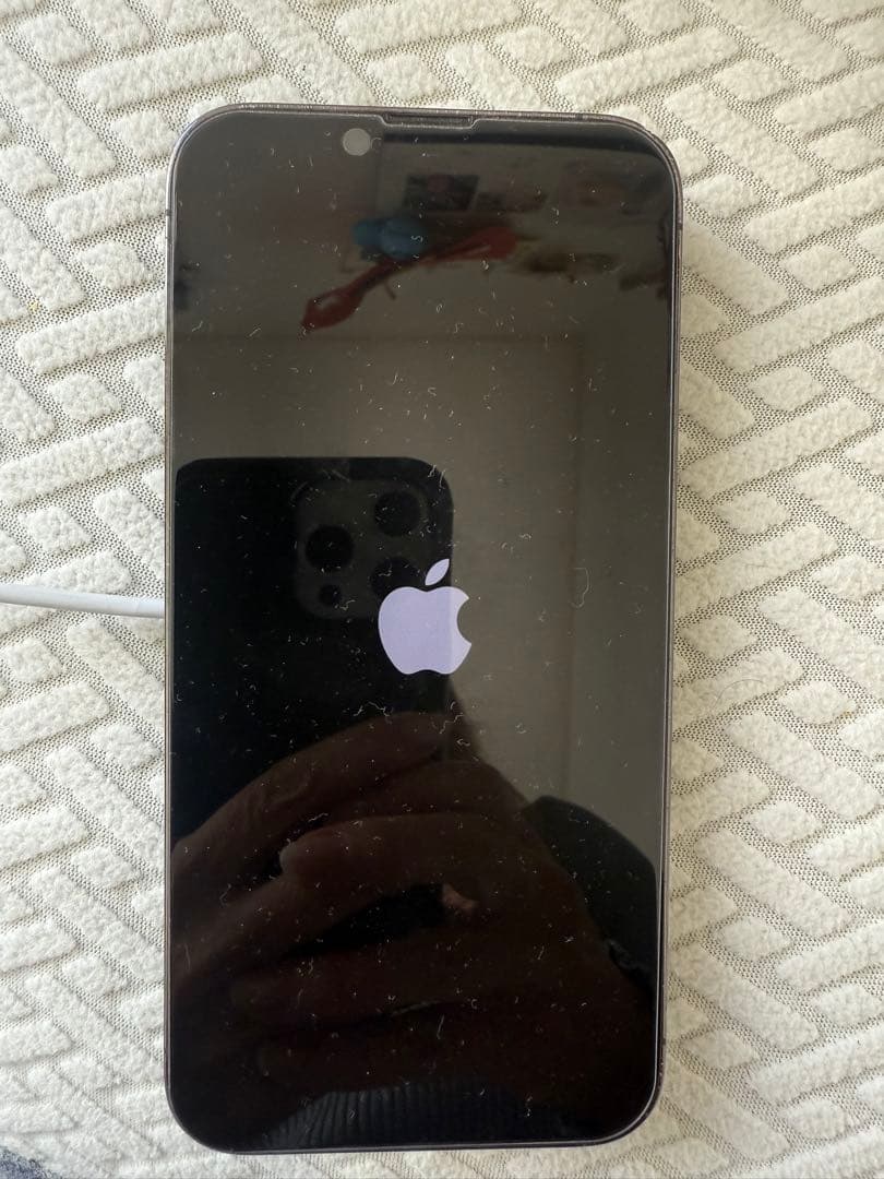【ジャンク品】iPhone13 Pro 128GB 電源入らない／初期化済み