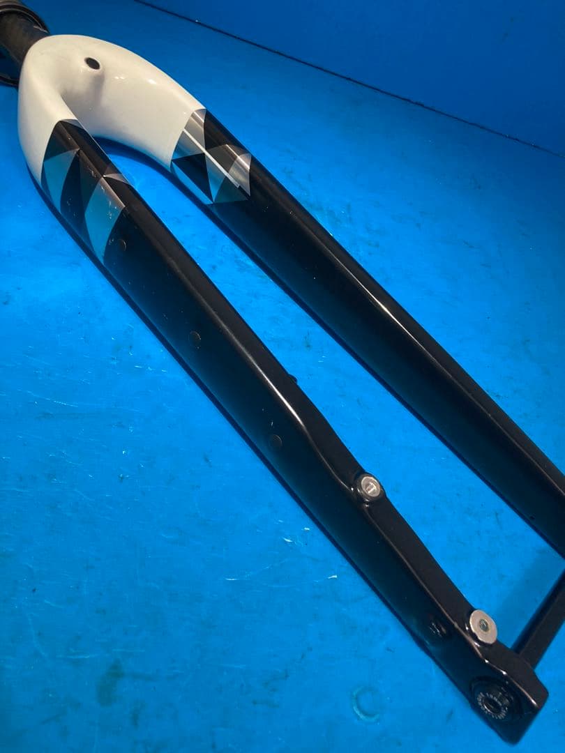 ◻️Trek Checkpoint ALR 5 フルカーボンフロントフォーク