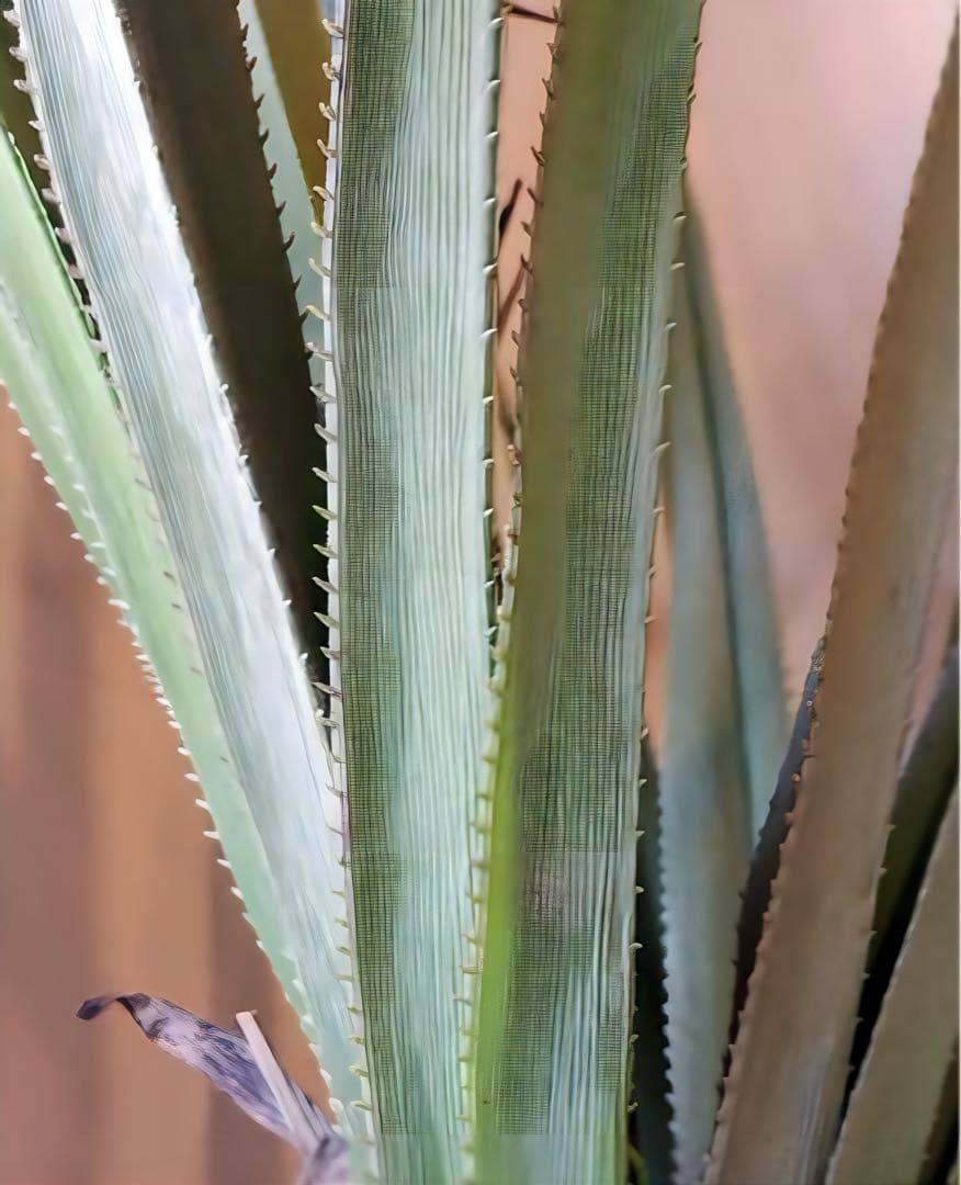 光触媒　人工観葉植物　ウォールグリーン　フェイクグリーン　240cmバンダナス