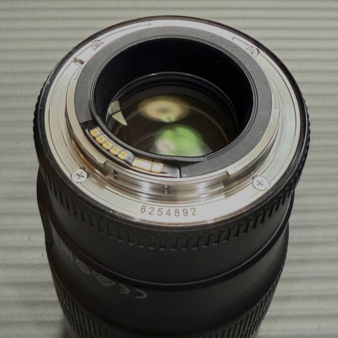 キヤノン Canon EF100mm F2.8Lマクロ IS USM