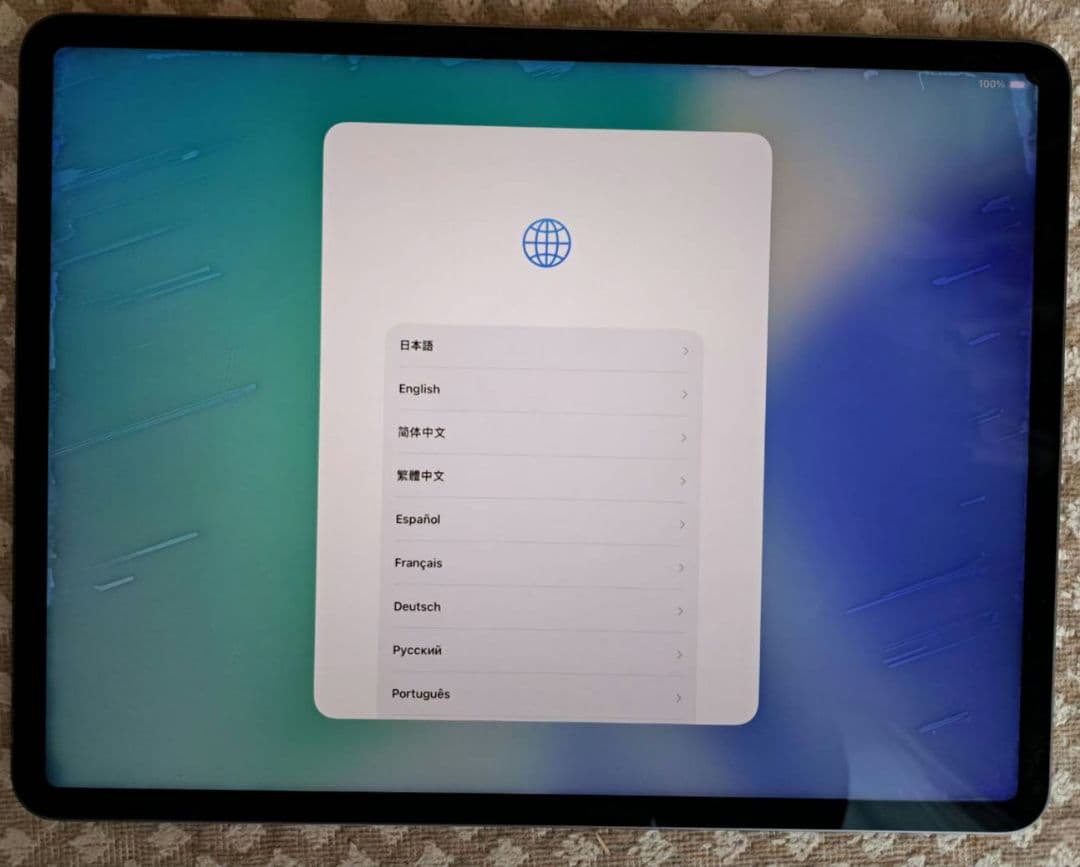 iPad Pro 第5世代 本体 12.9インチ