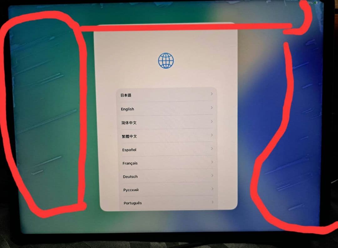iPad Pro 第5世代 本体 12.9インチ