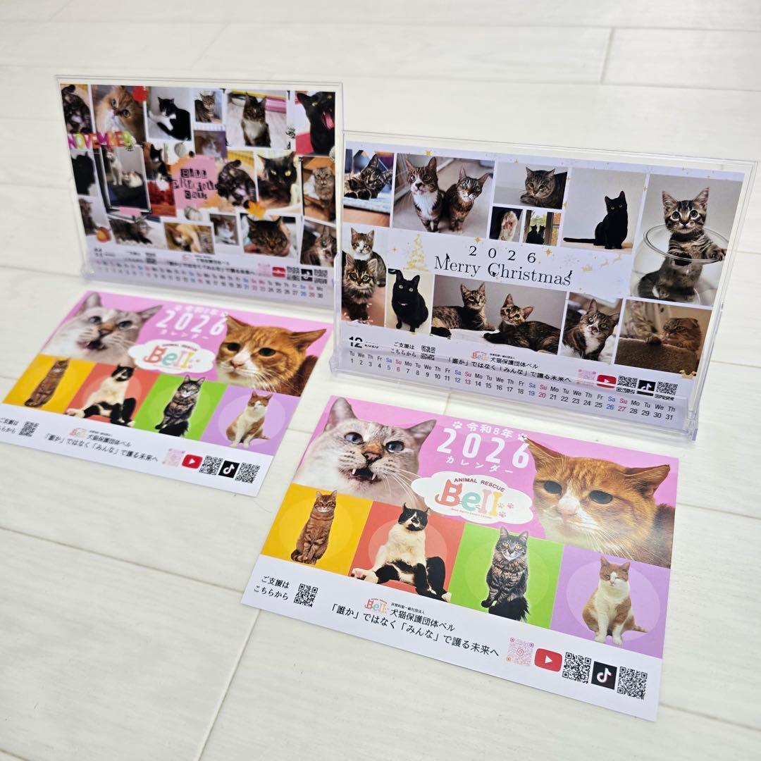 ①《猫》 卓上チャリティーカレンダー10枚セット
