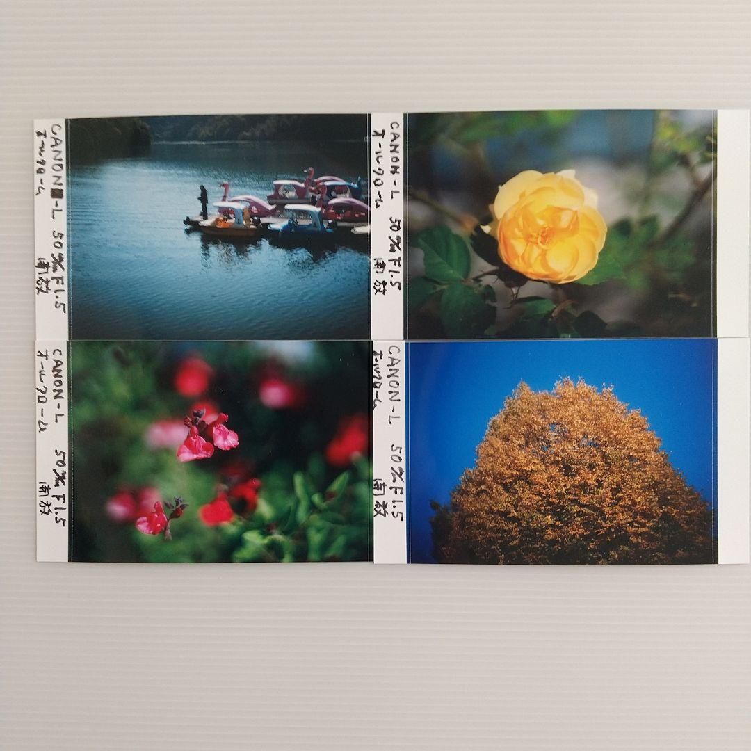 CANON-L 50mmF1.5 メタルフード付き