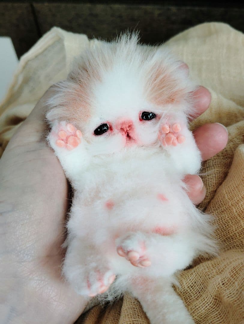 むぎゅサイズ♡お腹ぽっこり♡赤ちゃん子猫のキキちゃん♡アートドール♡ぬいぐるみ♡