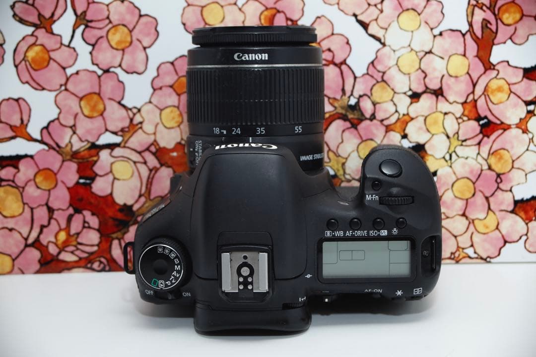 ❤ミドルスペック❤キヤノン Canon EOS 7D レンズセット❤