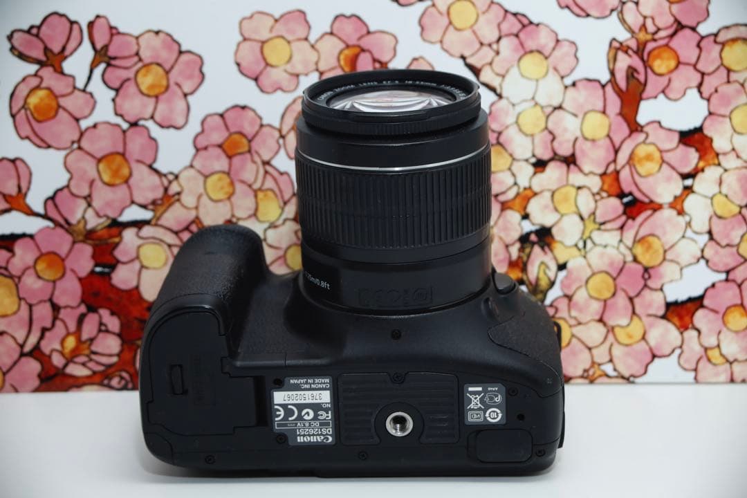 ❤ミドルスペック❤キヤノン Canon EOS 7D レンズセット❤