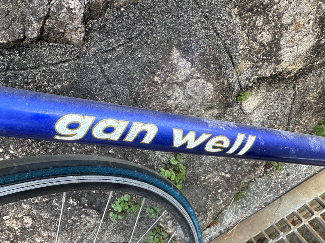 引き取り限定！ＧＡＮ　ＷＥＬＬピストバイク！