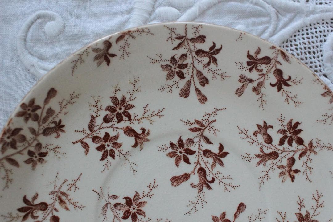 feerie さまサルグミンヌC＆S/Perse・マロン・レア