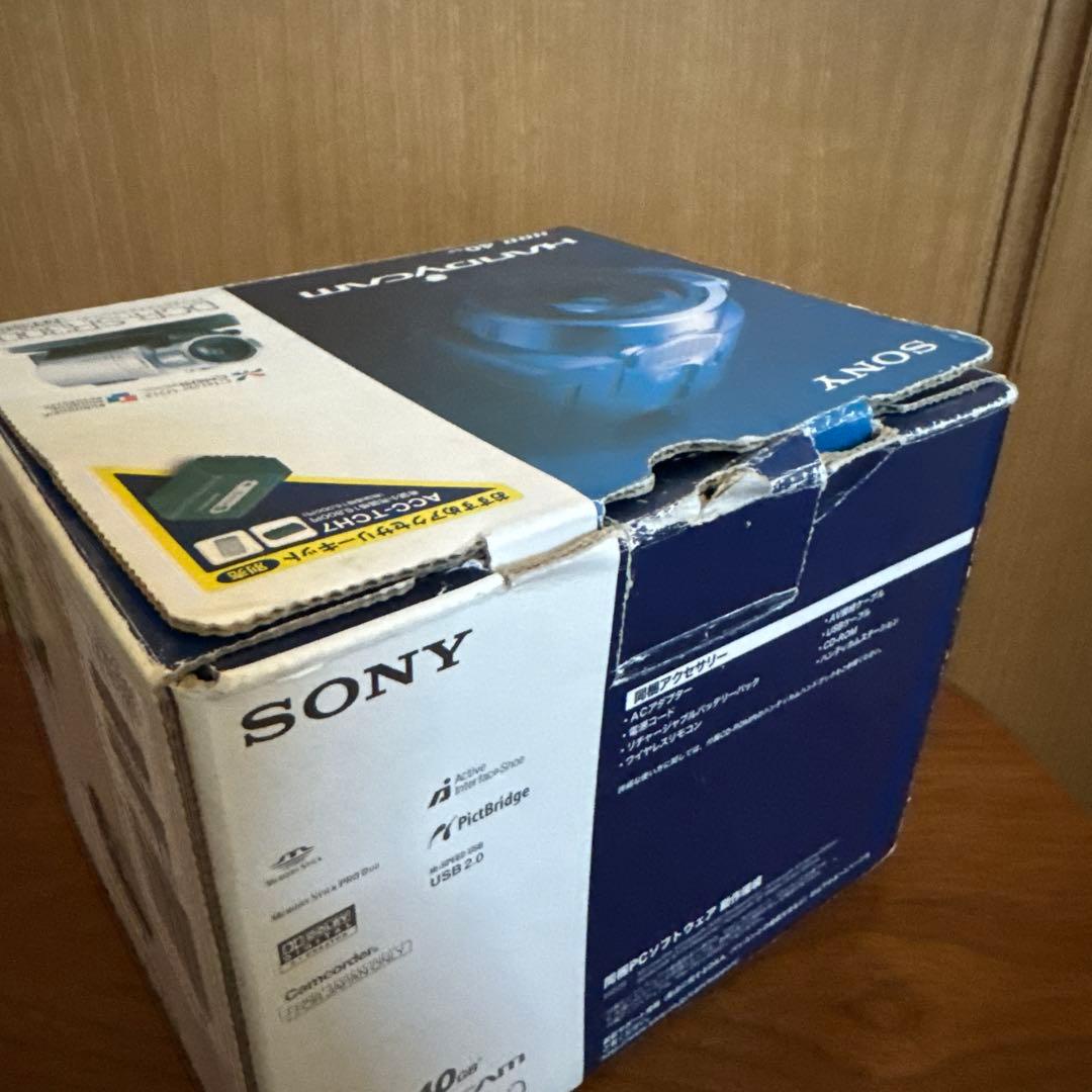 SONY Handycam　DCR-SR300