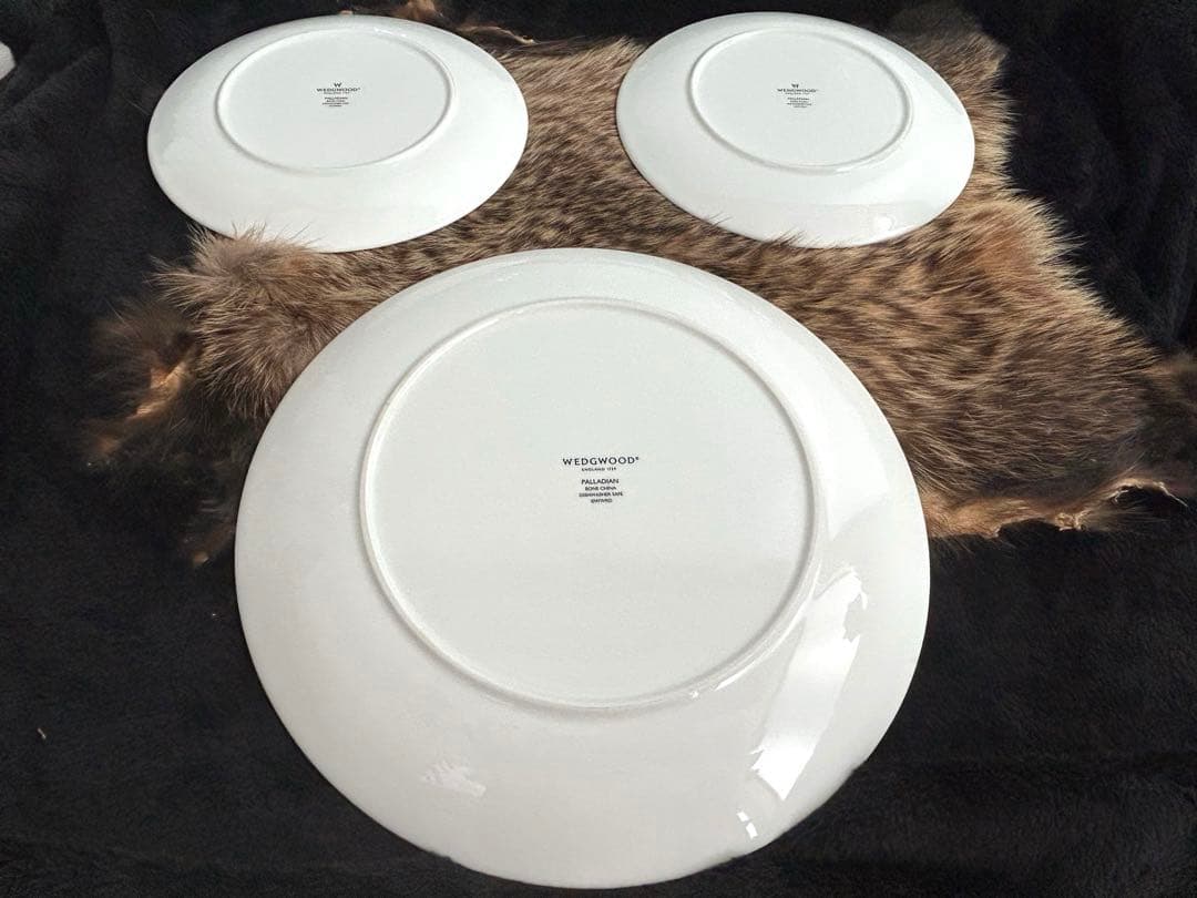 【希少】 パラディアン×3枚セット