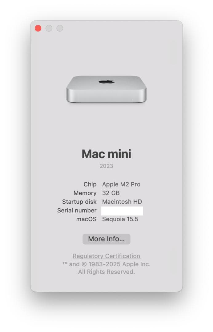 Apple Mini M2 Pro 10/16コア 32GB 500GB 10G