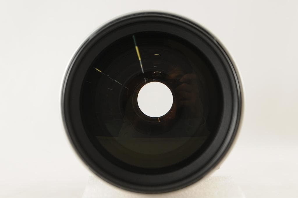 Canon キヤノン EF100-400mm F4.5-5.6L IS USM