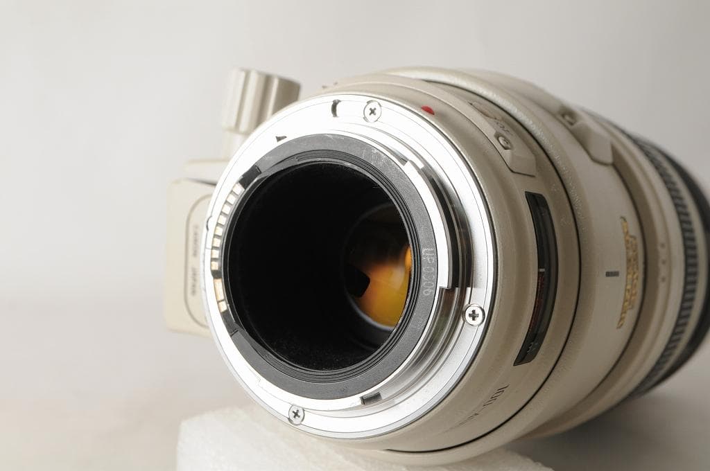 Canon キヤノン EF100-400mm F4.5-5.6L IS USM