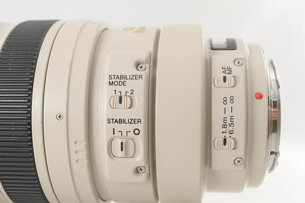 Canon キヤノン EF100-400mm F4.5-5.6L IS USM