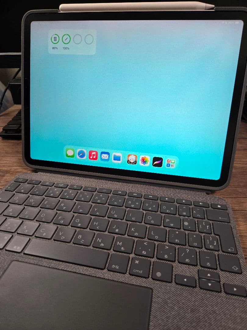 iPad Pro 11㌅ 1TB M1 Wi-Fiモデル 第2世代 +α