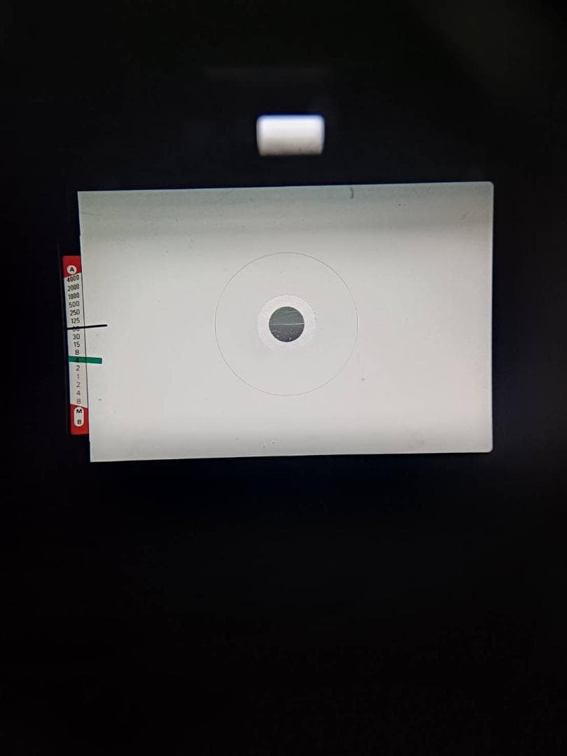 超美品 NIKON FE2 ブラック フィルムカメラ　モルト新品交換済 H298