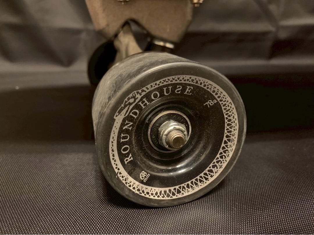 CARVER カーバー ロング スケートボード LAND カービング