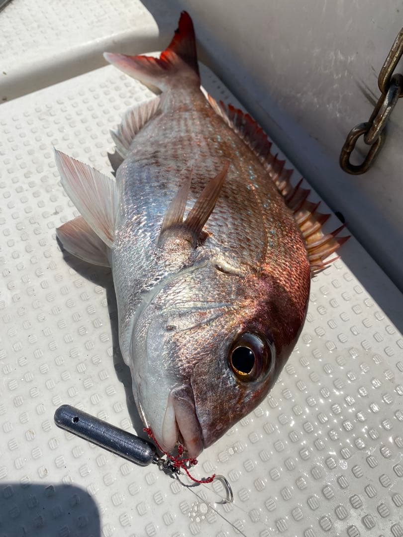 コスパ最強で釣果抜群！★エビ針ジグ★魚釣り 船釣り 仕掛け ★送料無料★
