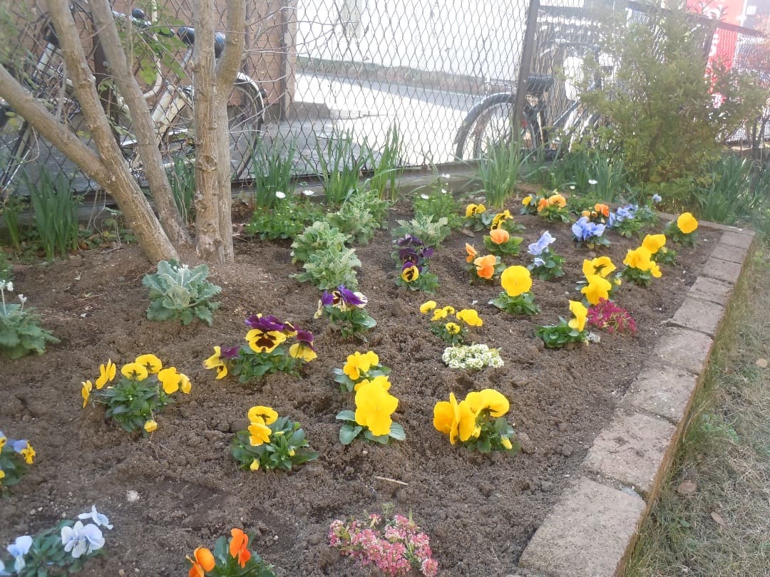 実写美⭕️【動作確認済】Nikon COOLPIX S6000 デジカメ