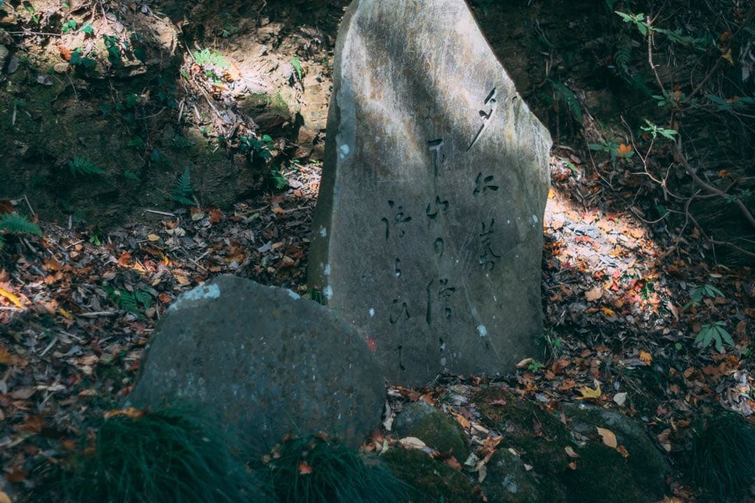 美フレア Super Multi Coated TAKUMAR 55mmf1.8