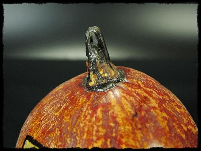 田中 篁秋 可忘茶 かぼちゃ 茶入 茶道具 e139