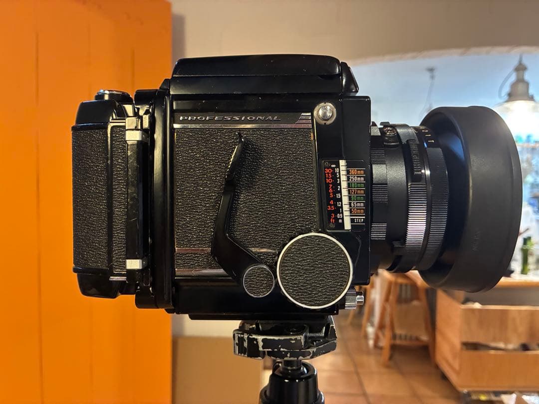 マミヤRB67 セコール127mm3.8 作例有り