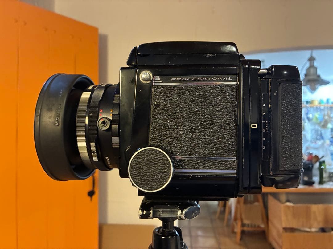 マミヤRB67 セコール127mm3.8 作例有り