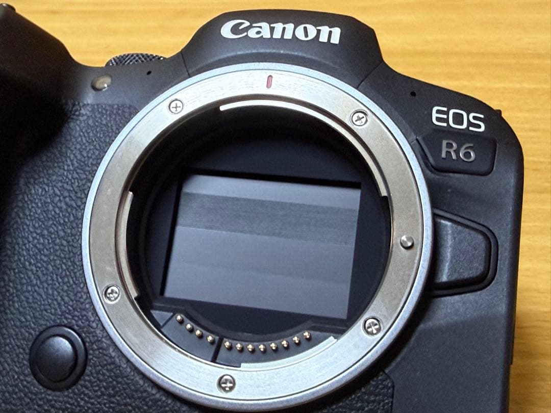 Canon EOS R6 ミラーレス一眼 カメラ本体　キャノン　【21日まで】