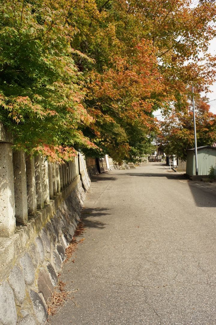 作例付き　Nikon NIKKOR-H AUTO 28mm F3.5 管mpr