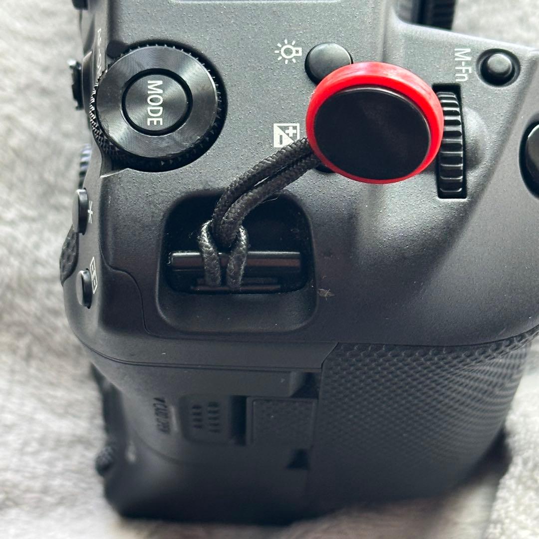 Canon EOS R3 ミラーレスカメラ