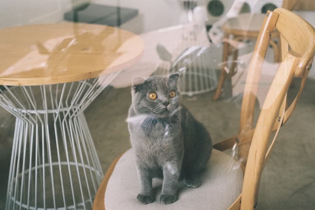 【動作確認済み】PENTAX ME Super（ペンタックス ME スーパー)