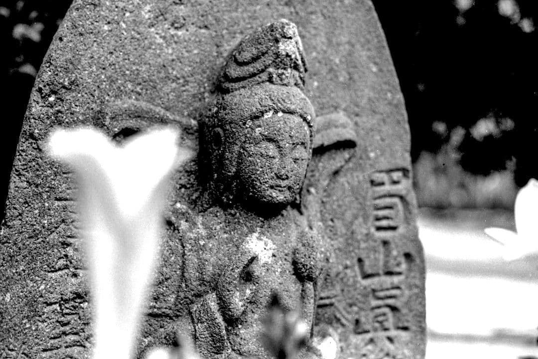 キヤノン　Canon AE-1 + FD 50 mm/F1.4 S.S.C.