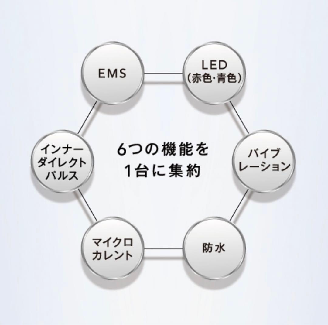 EMSリフトブラシ