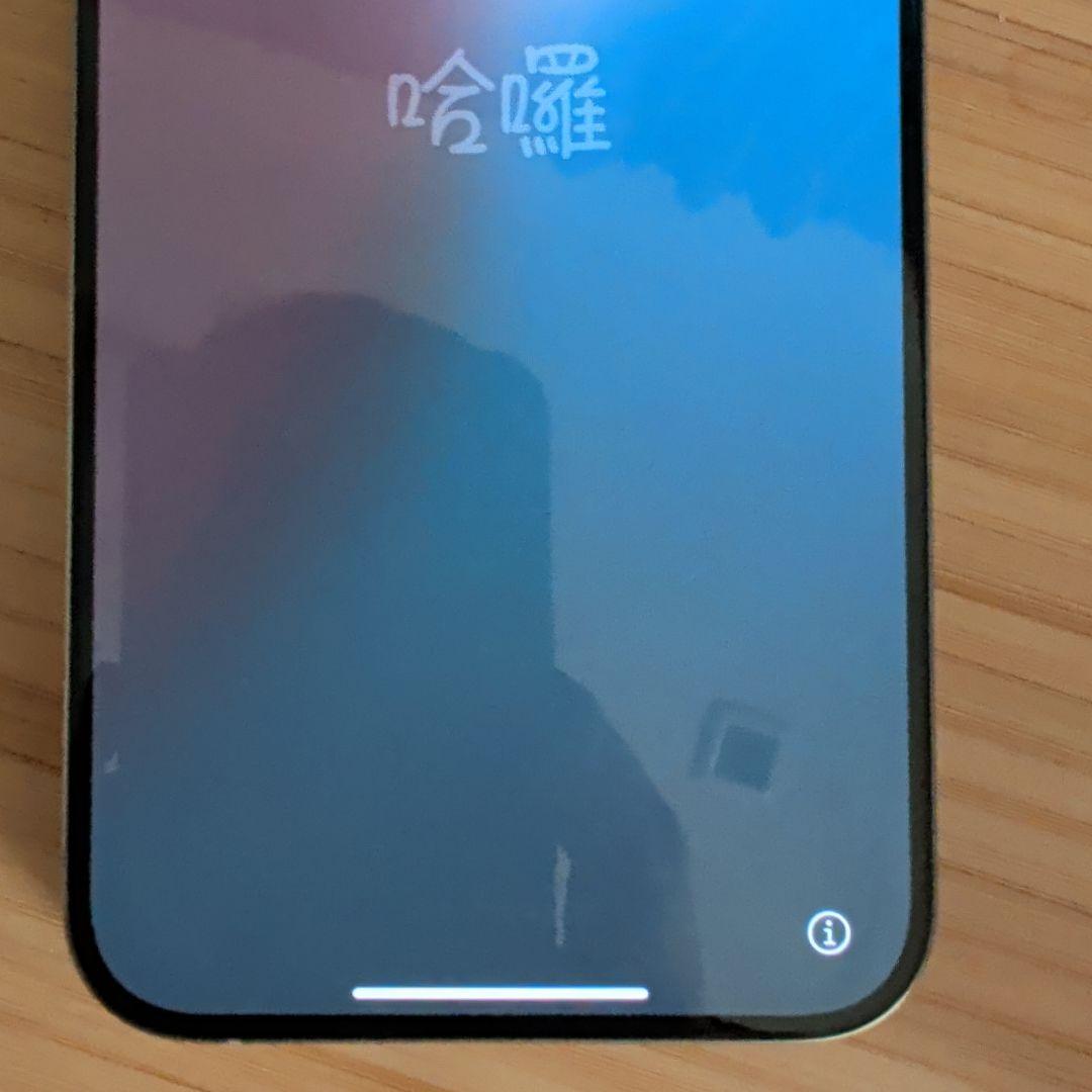 Apple iPhone 15 Pro max 本体　SIMフリー