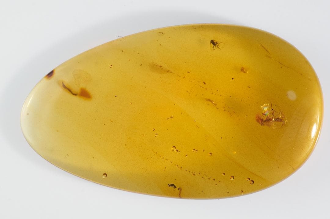 レア極上品 PA0095虫入り琥珀化石　ミャンマーカムティかタナイ9900万年前