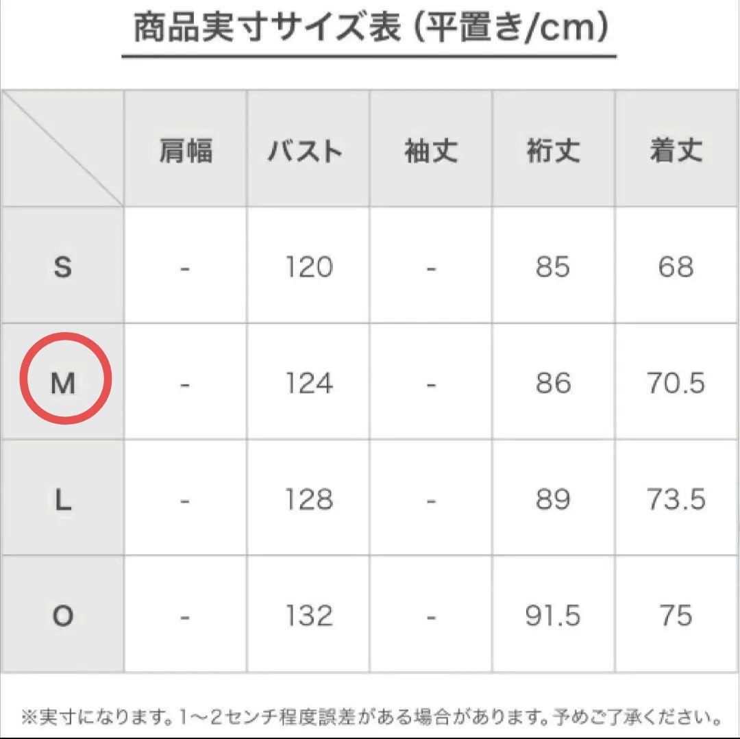 DESCENTE S.I.O INSULATED JACKET 22-23モデル
