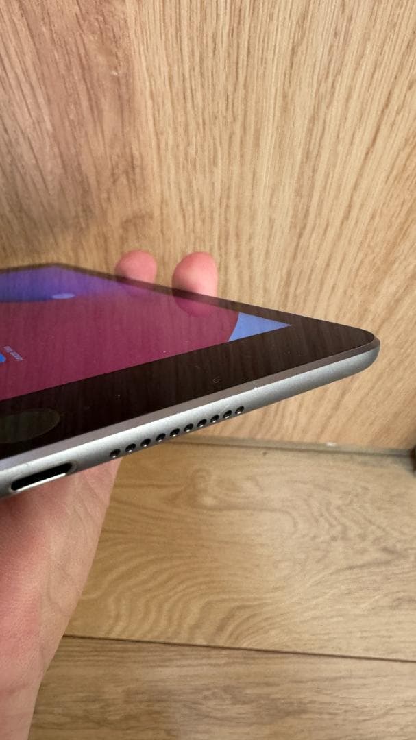 iPad本体 iPad mini 4 Wi-Fi+Cellular 16GB