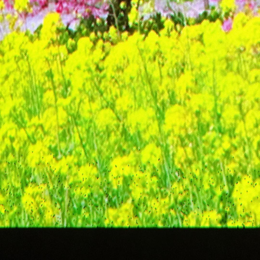 popIn Aladdin 天井照明一体型プロジェクター 初代 ドット抜け有